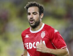 Casc Fabregas
