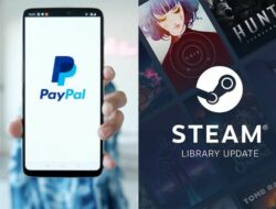 paypal dan stem paypal dan stem