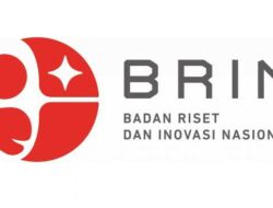 BRIN