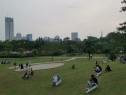 Hutan Kota Senayan
