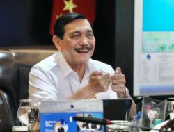 luhut binsar panjaitan pemerintah