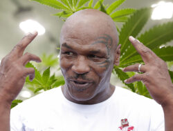 mike tyson konsumsi ganja