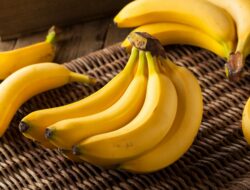 pisang di dunia