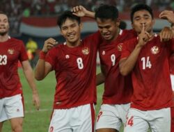 timnas indonesia di AFF