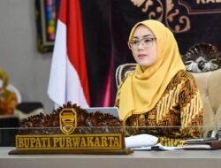 Bupati Purwakarta, Anne Ratna Mustika