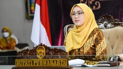 Perjalanan Karier Anne Ratna Mustika yang Akhirnya Menggugat Cerai Dedi Mulyadi