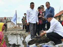 MenKopUKM: Kemitraan Rantai Pasok Berbasis Koperasi Kunci Sukses Hilirisasi Industri Rumput Laut