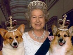 Ratu Elzabeth II bersama dua anjing corgi peliharaannya