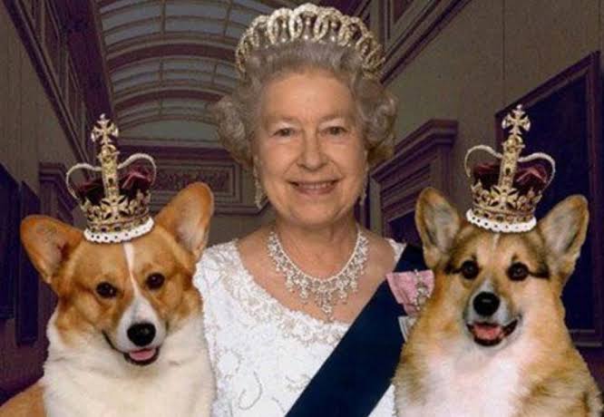 Ratu Elzabeth II bersama dua anjing corgi peliharaannya