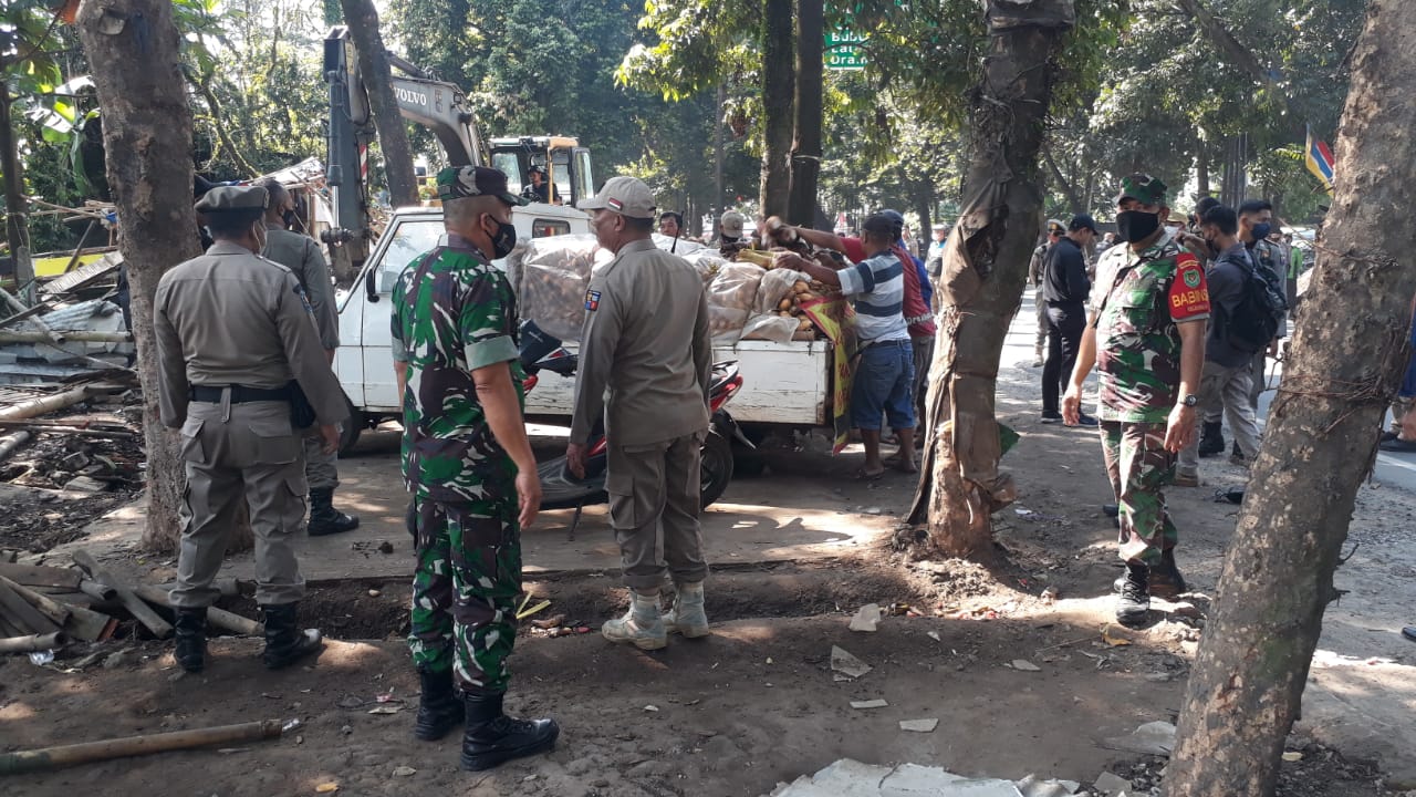 penertiban bangli bogor