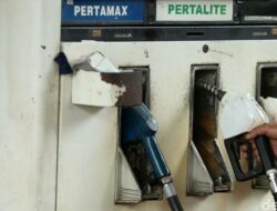 perbedaan pertamax pertalite
