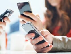 pengguna internet di indonesia
