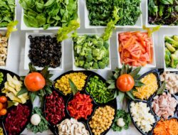 program diet