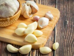 manfaat bawang putih mentah manfaat bawang putih mentah