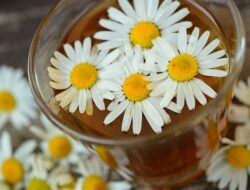 Ilustrasi obat herbal (foto: pixabay) Ilustrasi obat herbal (foto: pixabay)