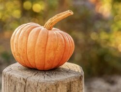 Halloween (Foto: Pixabay) Halloween (Foto: Pixabay)