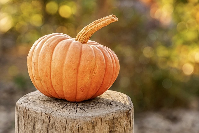 Halloween (Foto: Pixabay)
