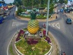 tugu nanas di wilayah subang