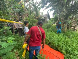 pria tergantung di pohon mangga di kawasan Kabupaten Tangerang (foto: istimewa)