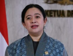 Puan maharani (istimewa)