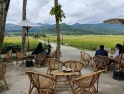 kuliner kawasan Yogyakarta 6