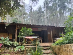 nikmati kopi di hutan mojokerto