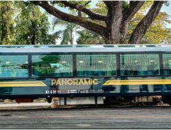 Kereta Panoramic (Istimewa) Kereta Panoramic (Istimewa)