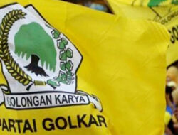 Lumbung suara partai