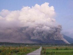 erupsi gunung semeru