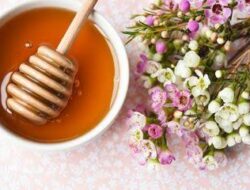 Madu ramah vegan (istimewa)
