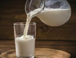 Susu (istimewa)