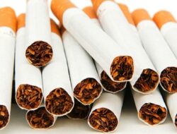 penjualan rokok batangan