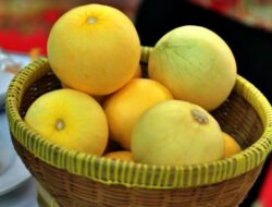 Baby melon (istimewa)