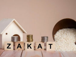 lembaga amil zakat nasional