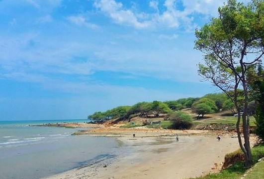 pantai yang indah di tuban 3