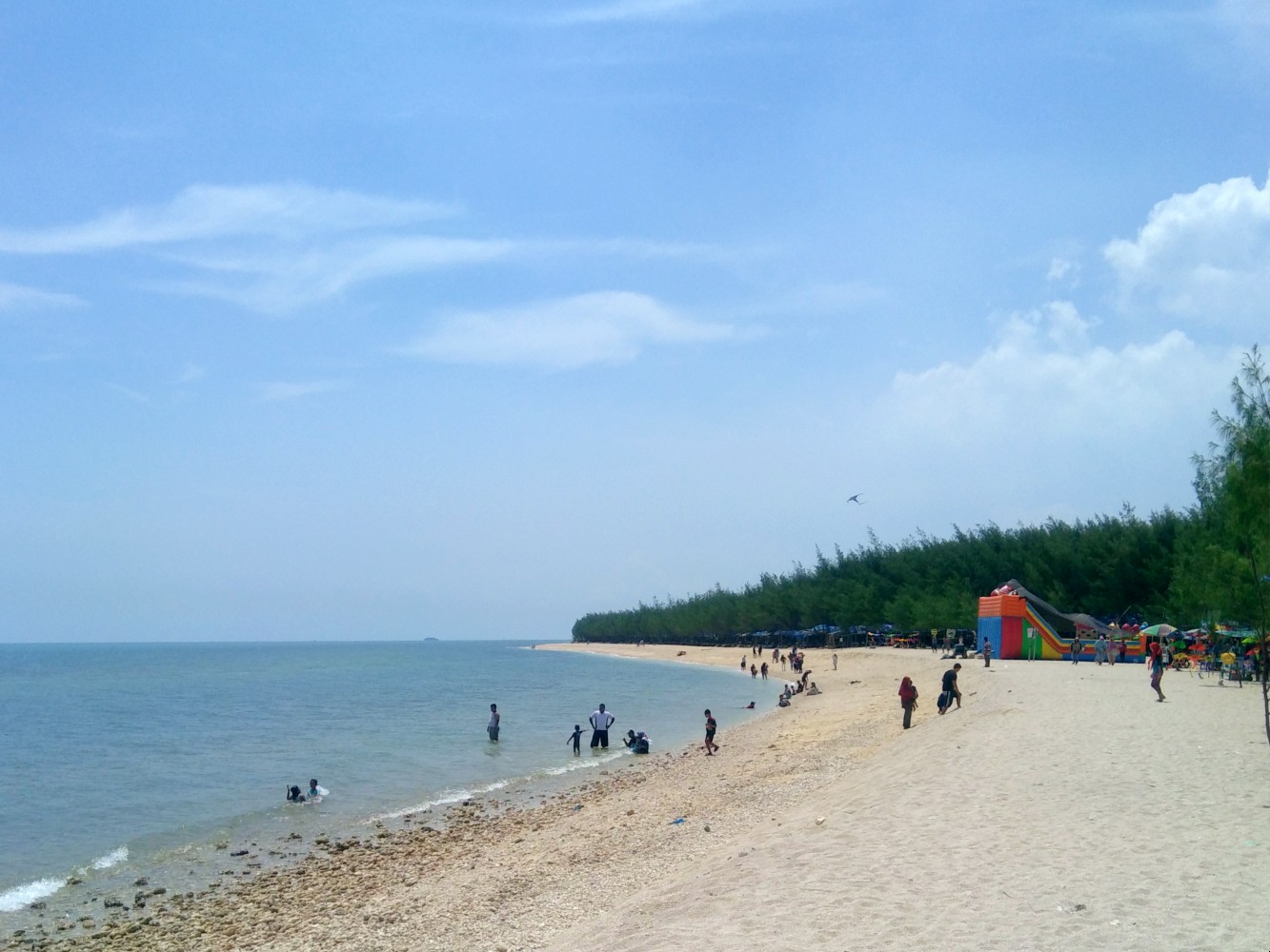 pantai yang indah di tuban 5
