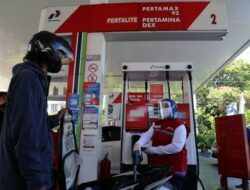 pertalite subsidi