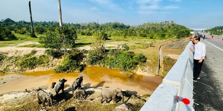 terowongan gajah riau 1