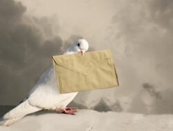 burung mengirim Surat burung mengirim Surat
