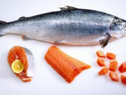 Ikan salmon salah satu jenis ikan yang baik untuk diet.(istimewa)