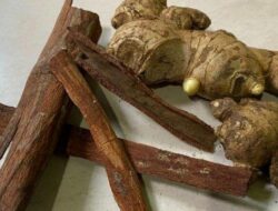 Bumbu dapur untuk atasi Gula darah tinggi