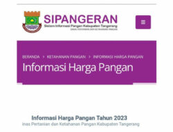 Masyarakat di Tangerang Bisa Pantau Harga Sembako lewat Aplikasi Sipangeran. (Istimewa)