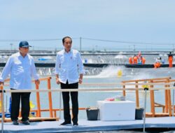 Presiden Joko Widodo didampingi Menhan Prabowo Subianto meresmikan tambak budidaya udang berbasis kawasan di Desa Plesung, Kecamatan Petanahan, Kabupaten Kebumen, Provinsi Jawa Tengah, Kamis (9/3/2023). Foto : BPMI Setpres