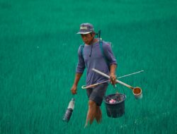 Ilustrasi petani. Harga gabah perlu diatur sedemikian mungkin agar petani lebih untung. (Pixabay)