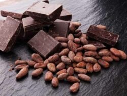 Manfaat cokelat.(istimewa)