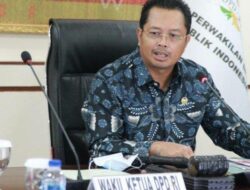 Wakil ketua DPD RI Mahyudin (istimewa)