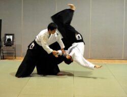 teknik aikido jepang Teknik Aikido
