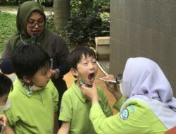 Sekolah Tunas Global gigi 2