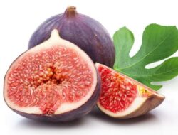 Buah Tin.(istimewa/indonesiadaily.net)