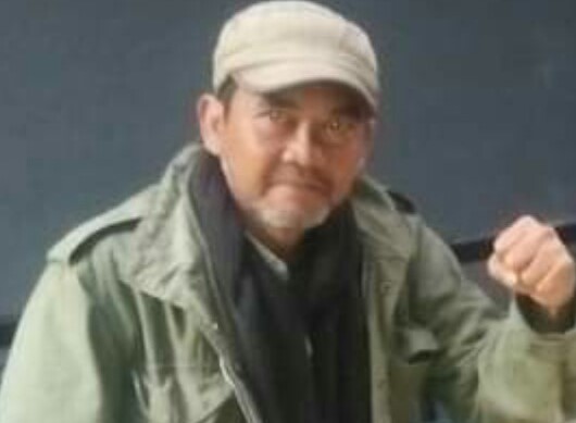 penulis tentang anies
